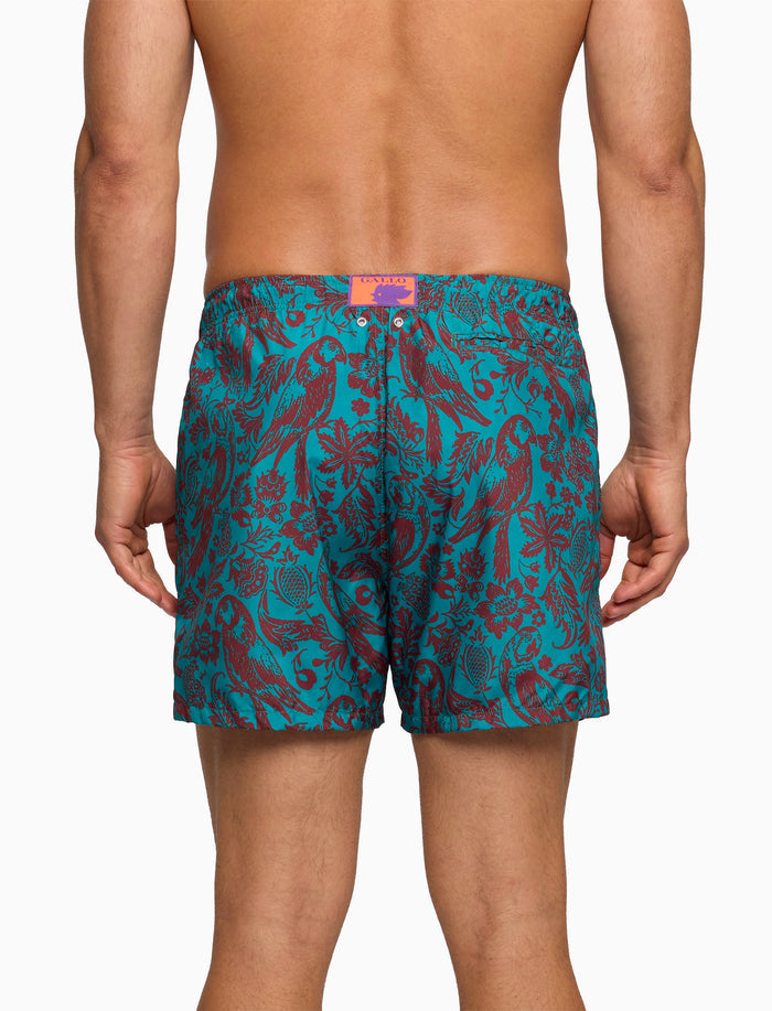 Boxer mare uomo fantasia pappagalli su fondo color pavone - Gallo 1927 - Official Online Shop