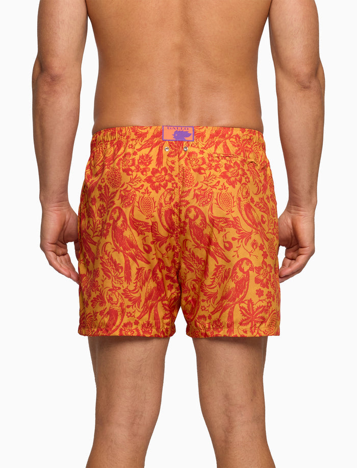 Boxer mare uomo fantasia pappagalli su fondo giallo - Gallo 1927 - Official Online Shop