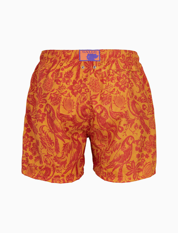 Boxer mare uomo fantasia pappagalli su fondo giallo - Gallo 1927 - Official Online Shop