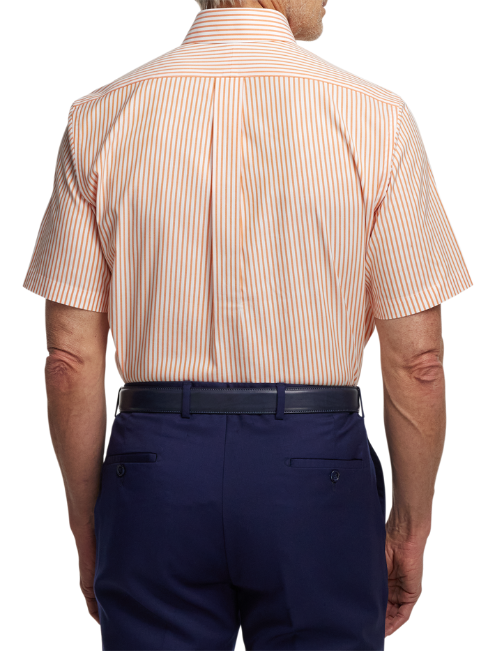 Comfort Stretch Non-Iron Stripe Dress Shirt With Contrast Trim - Melon