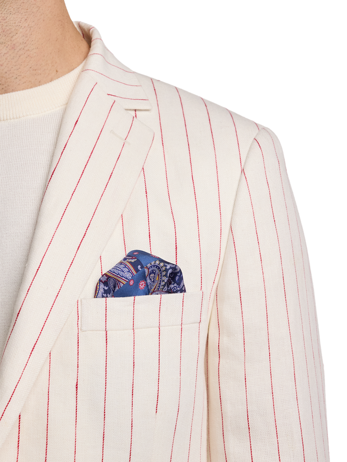 Alternate Image of Pinstripe Linen Single Breasted Notch Lapel Suit Jacket-5